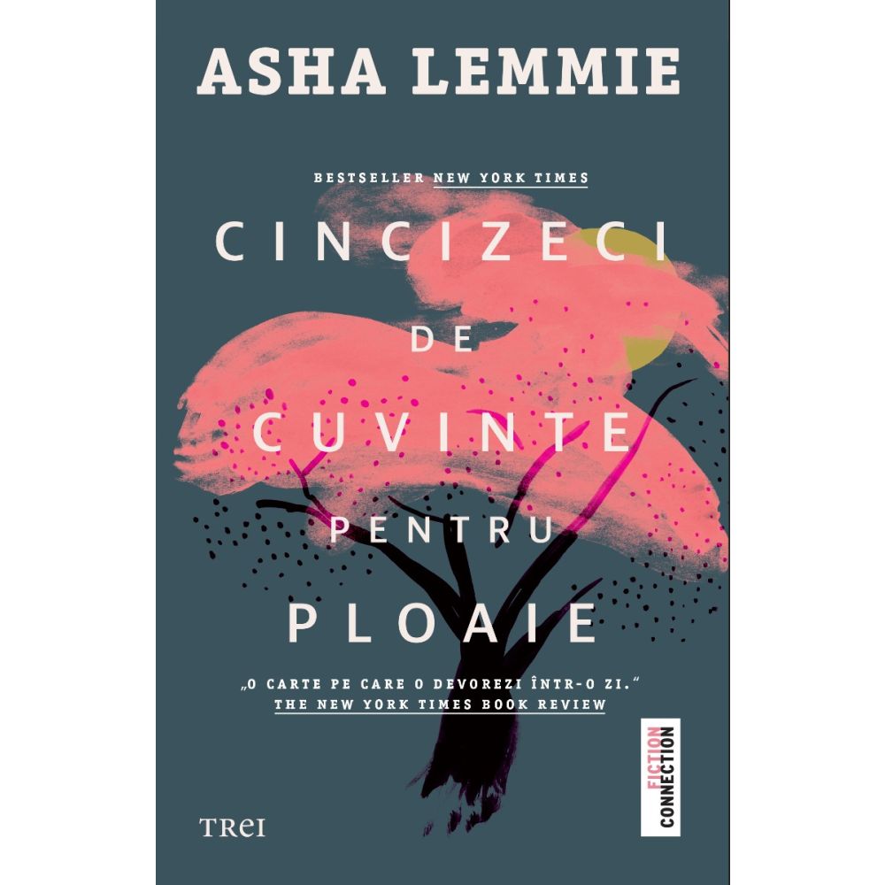 Cincizeci de cuvinte pentru ploaie, Asha Lemmie