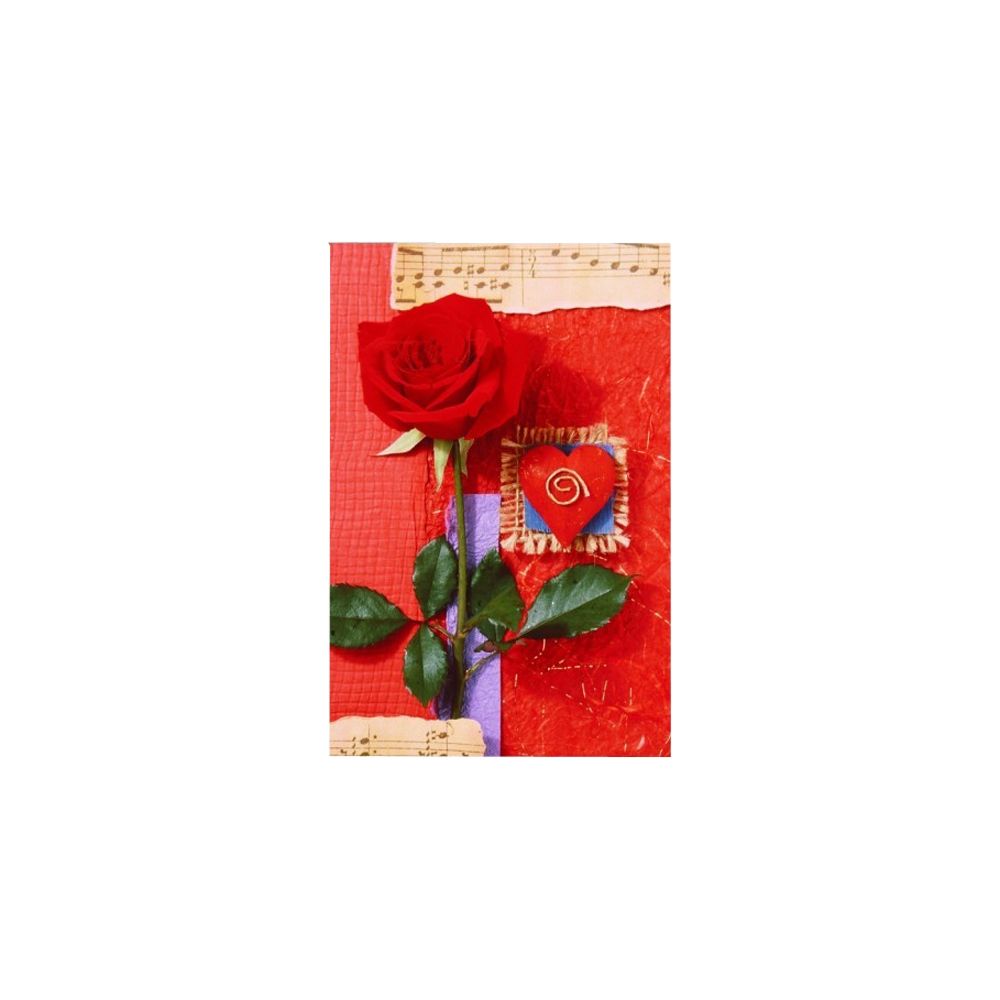 Felicitare - Sav mini