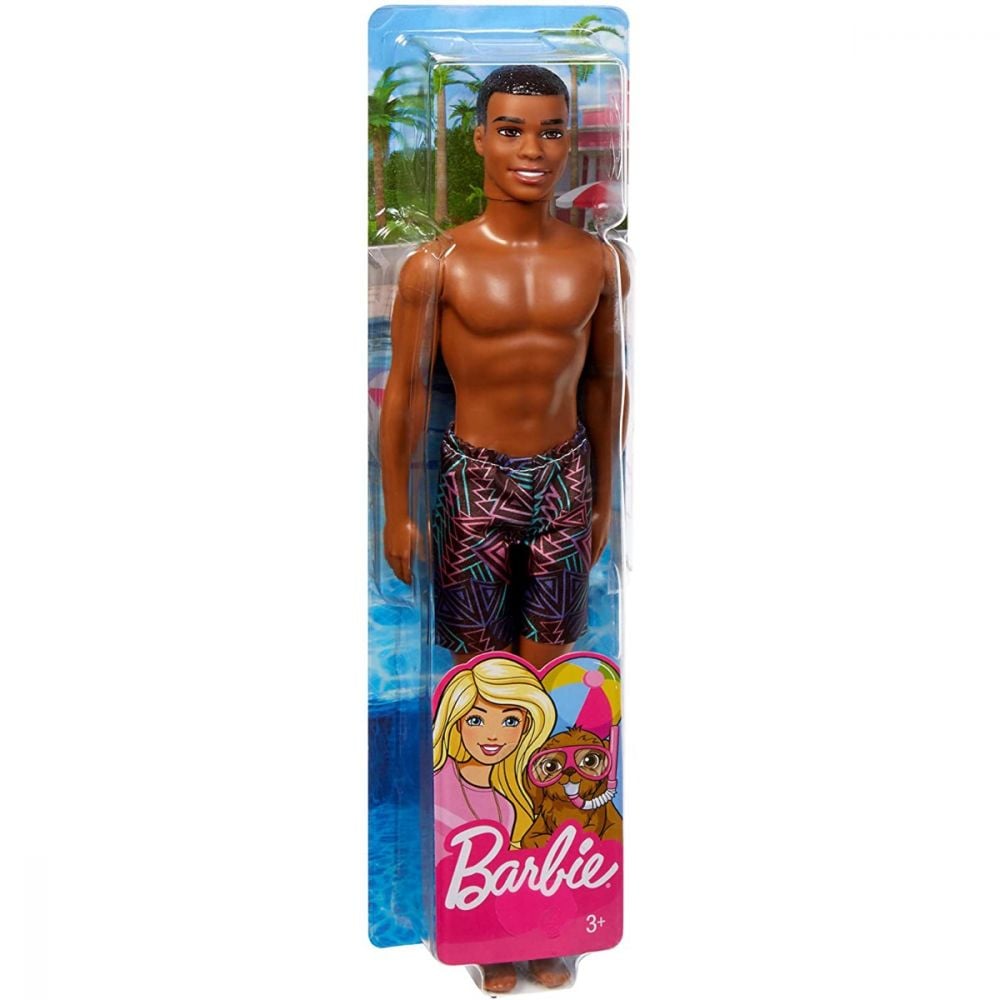 Papusa Barbie Ken, La plaja, DWK07