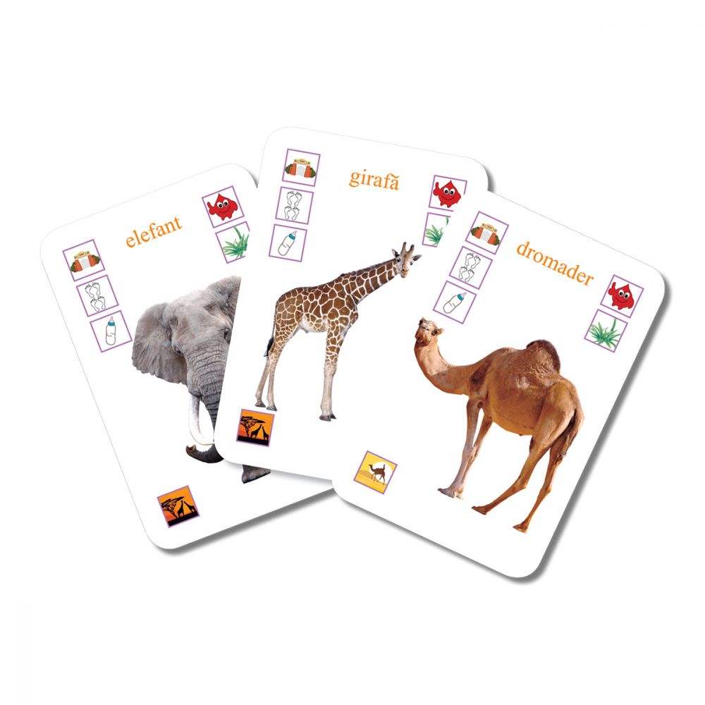 Editura Gama, Carti de joc educative Junior, Animalele