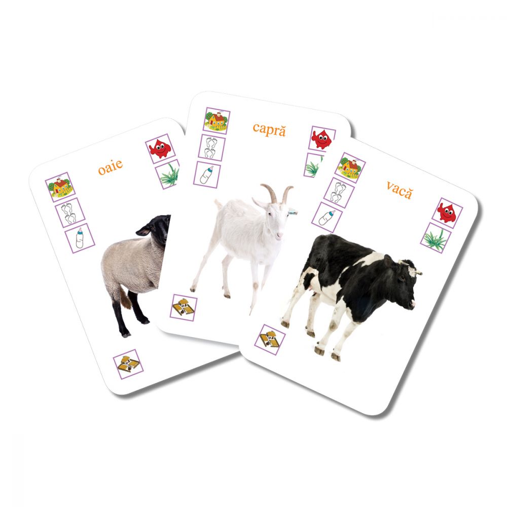 Editura Gama, Carti de joc educative Junior, Animalele