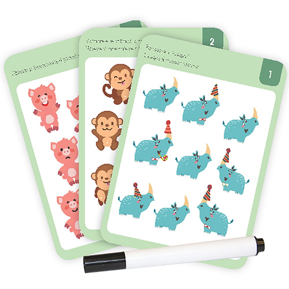 Editura Gama, Animale, Nivel Junior Plus