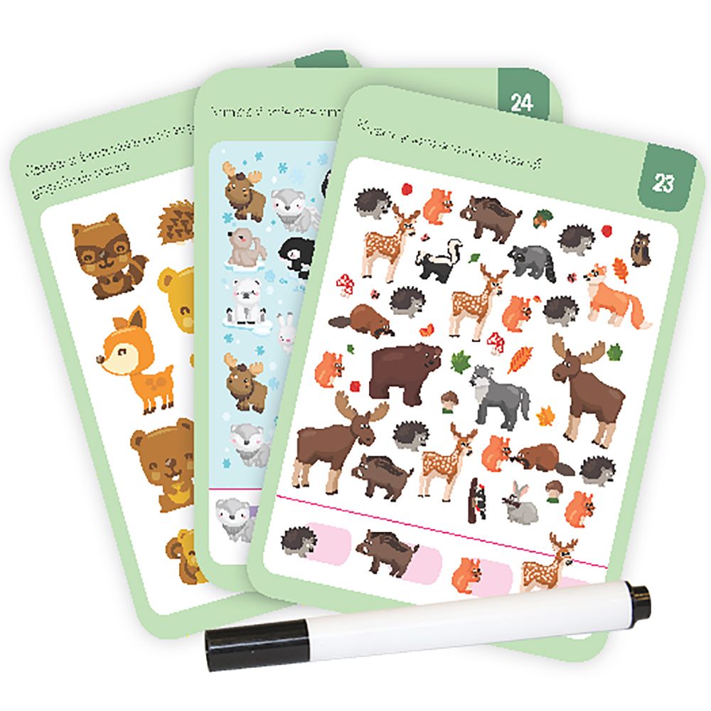 Editura Gama, Animale, Nivel Junior Plus