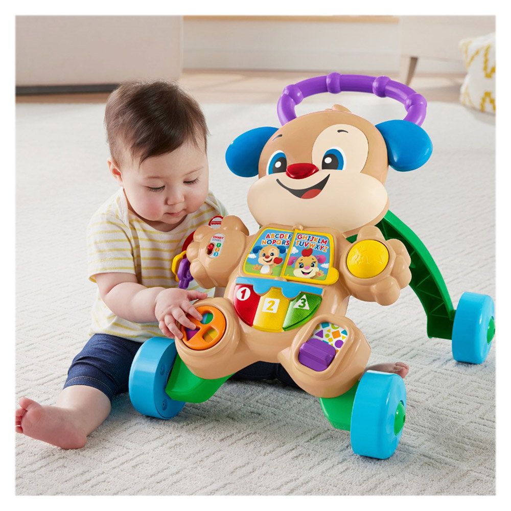 Antemergator cu activitati, Fisher Price, Catelusul, Lb Romana