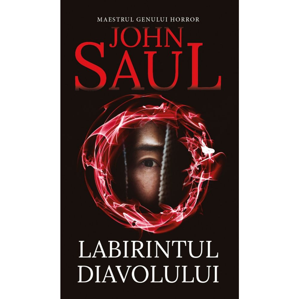 Labirintul diavolului, John Saul