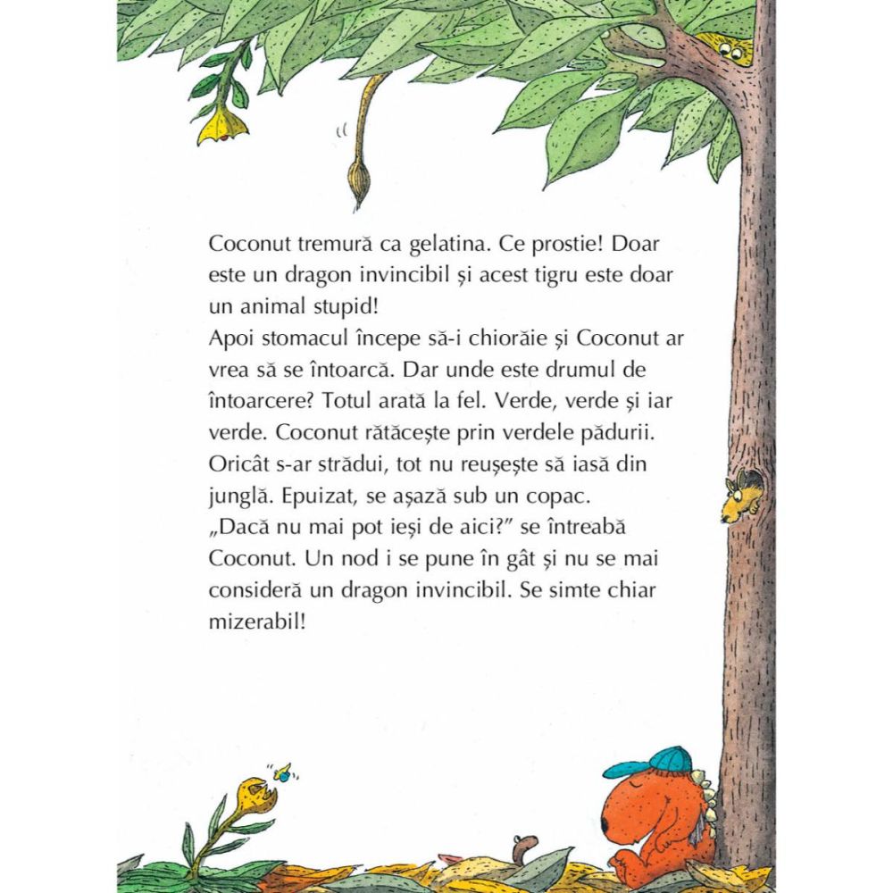 Micul dragon Coconut, Primele aventuri, Ingo Siegner