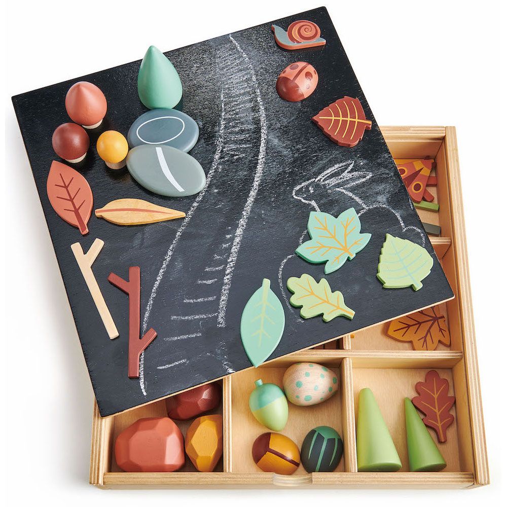 Set, Colectia de comori forestiere din lemn, Tender Leaf Toys, My Forest Floor, 50 piese