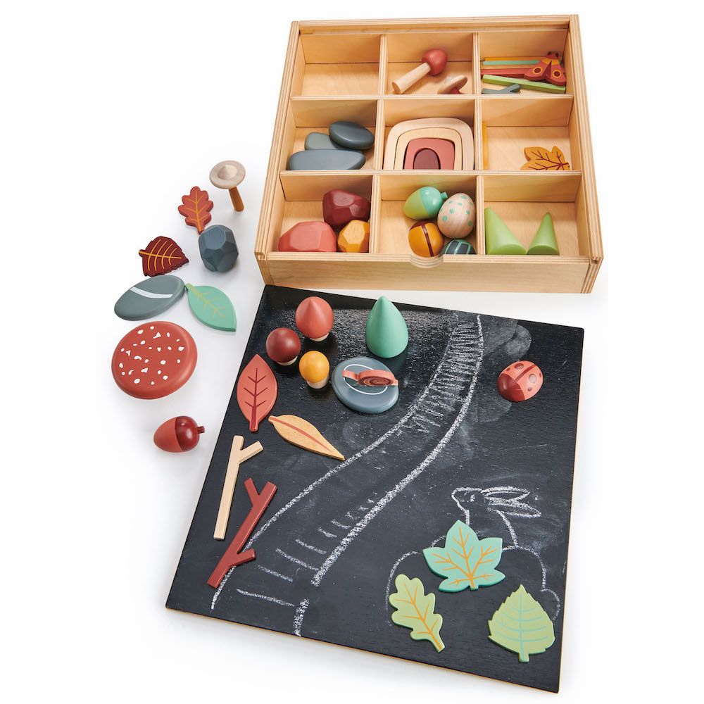 Set, Colectia de comori forestiere din lemn, Tender Leaf Toys, My Forest Floor, 50 piese