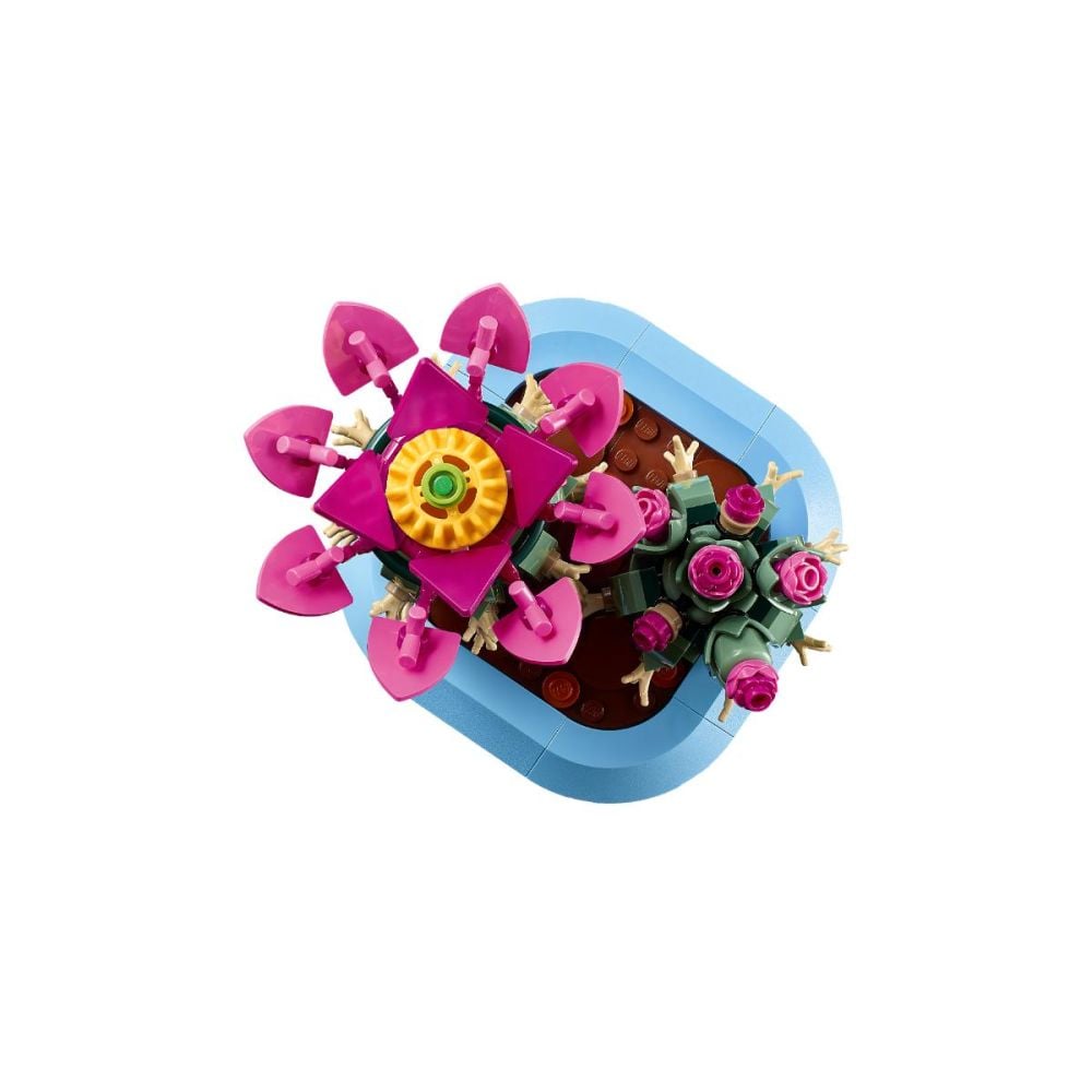 LEGO® Botanicals - Cactus inflorit (11509) | Noriel