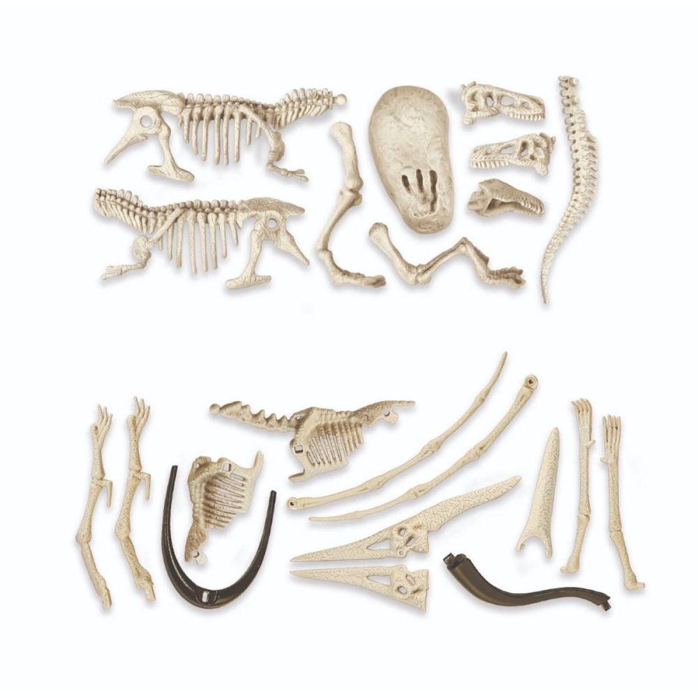 Kit arheologic, Clementoni, Glow In The Dark, T-Rex si Pteranodon
