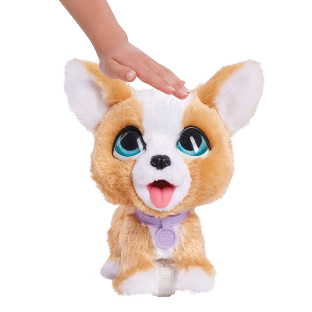 Jucarie de plus, FurReal, Catelusul Corgi | Noriel