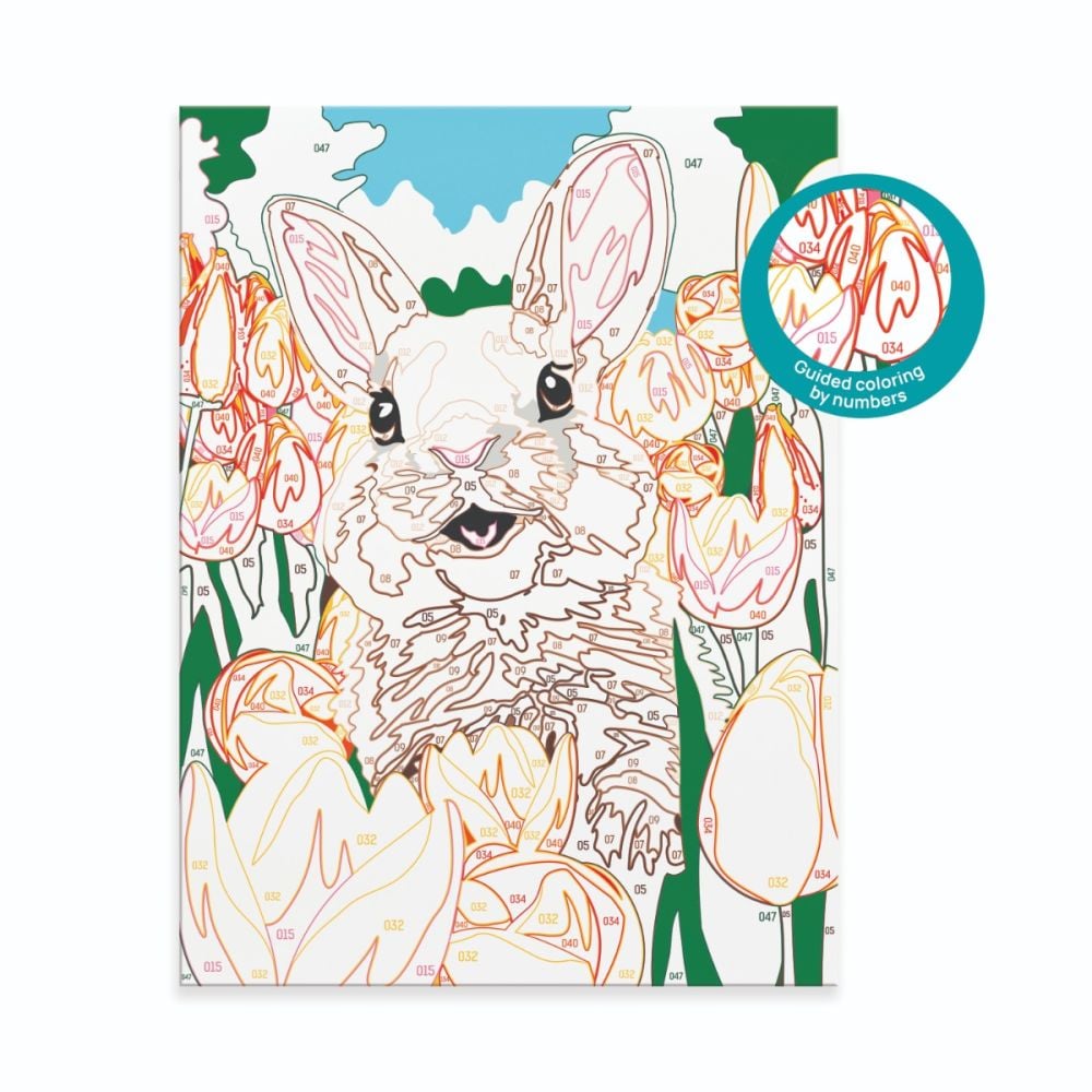 Set de pictura pe numere, Happi Hobbi, Picteaza si inrameaza, Iepuras vesel