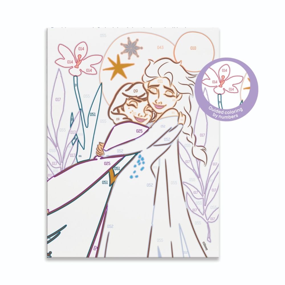 Set de pictura pe numere, Happi Hobbi, Picteaza si inrameaza, Frozen