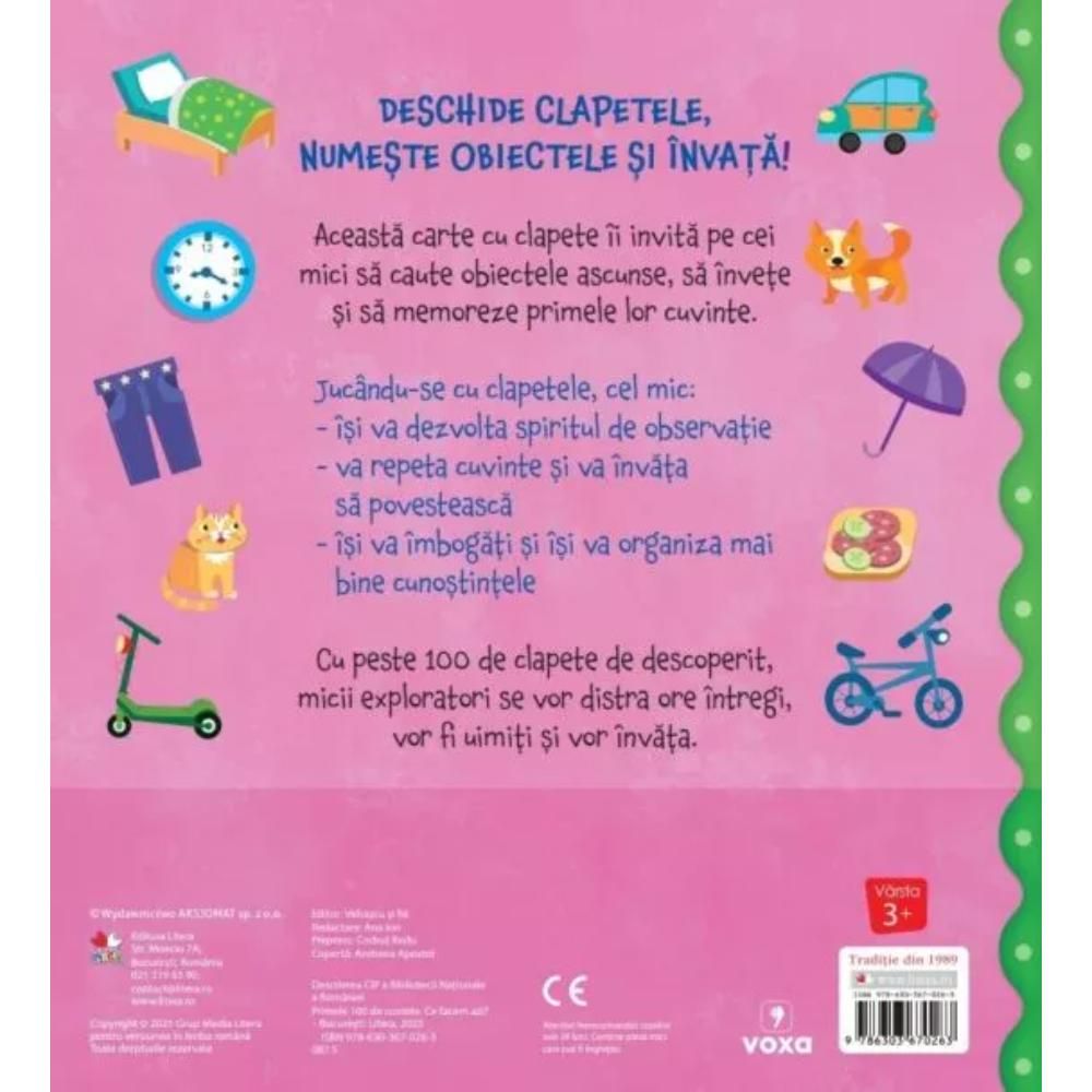 Carte cu clapete, Primele 100 de cuvinte. Ce facem azi?
