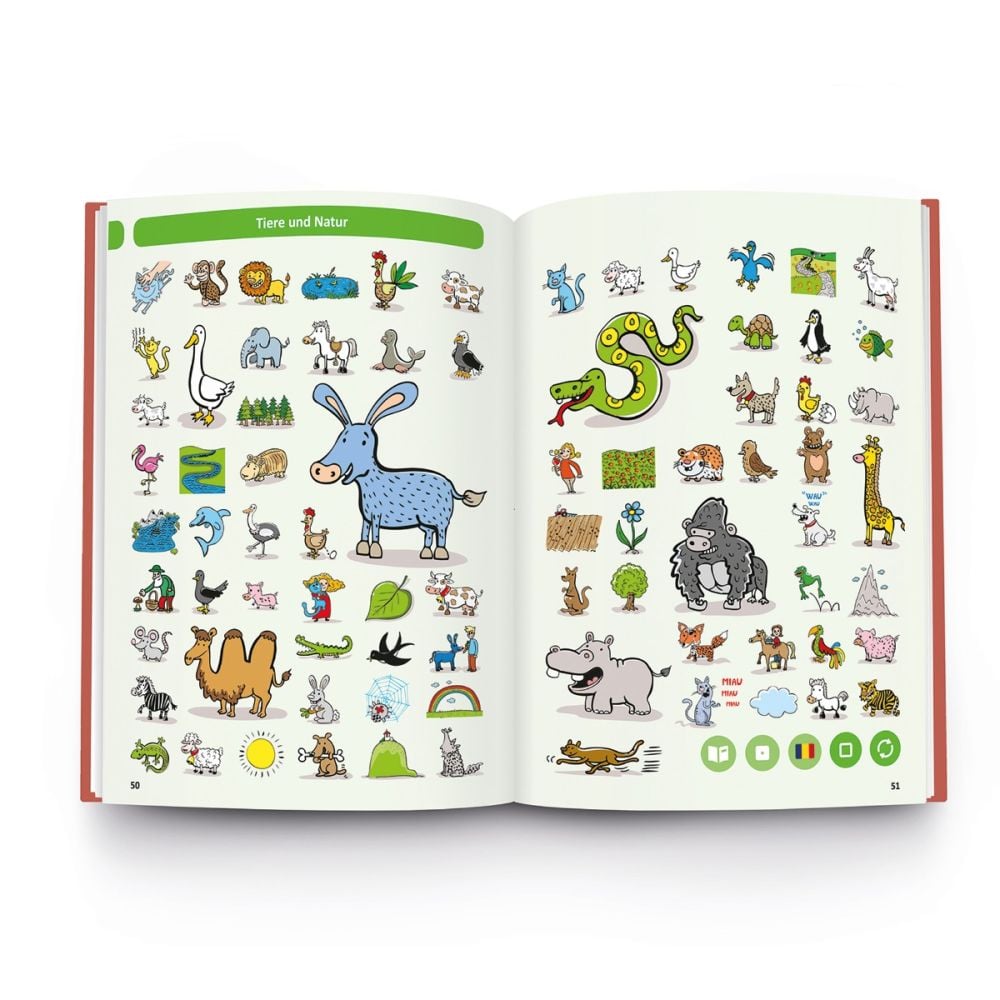 Carte interactiva, Raspundel Istetel, Dictionar German-Roman