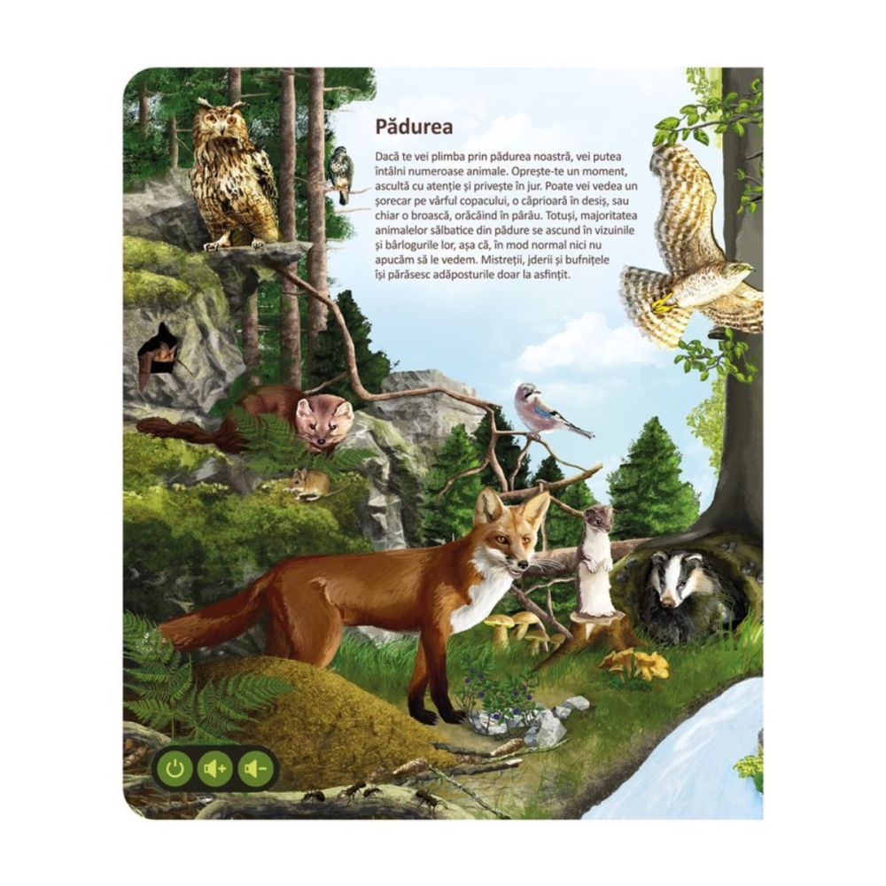 Carte interactiva, Raspundel Istetel, Lumea animalelor