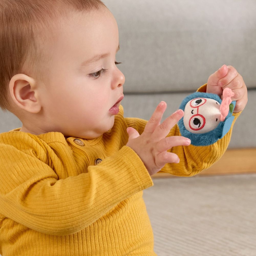 Jucarie zornaitoare Fisher Price, Albinuta cu floare, HYR56
