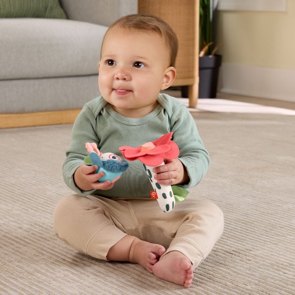 Jucarie zornaitoare Fisher Price, Albinuta cu floare, HYR56