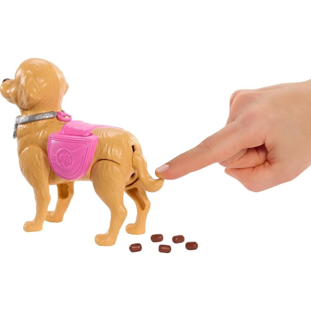 Papusa cu catelus si accesorii, Barbie Malibu, Family&Friends, JJB46
