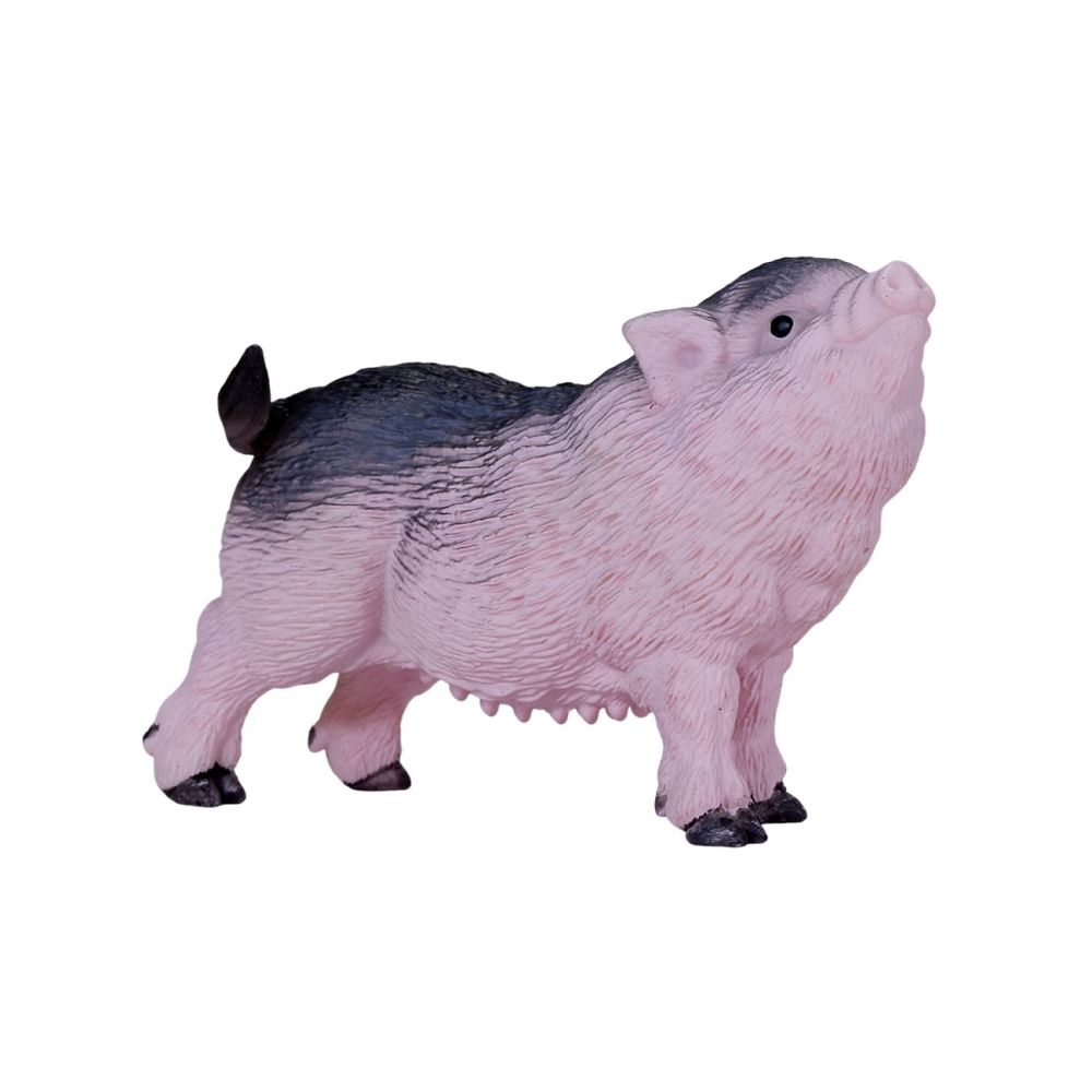 Figurina Mojo, Purcel Vietnamez