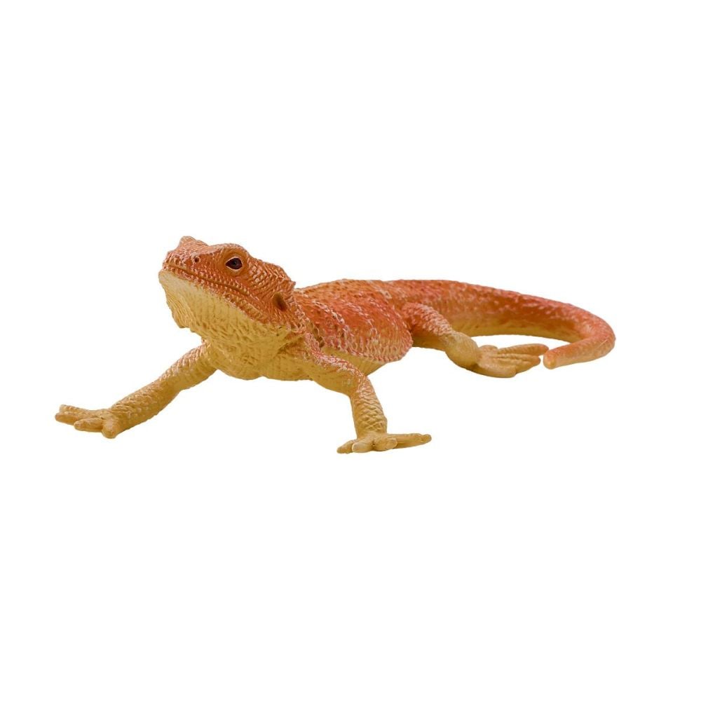 Figurina Mojo, Dragon Barbos