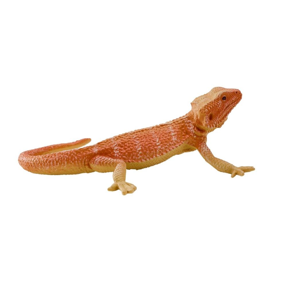 Figurina Mojo, Dragon Barbos