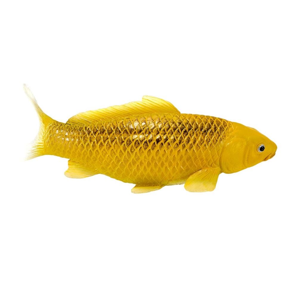 Figurina Mojo, Peste Koi Ki Matsuba