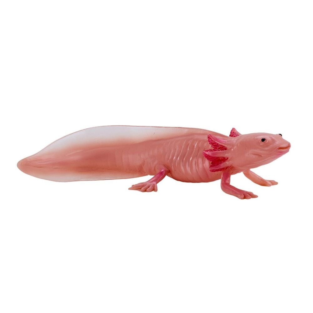 Figurina Mojo, Salamandra Axolotl