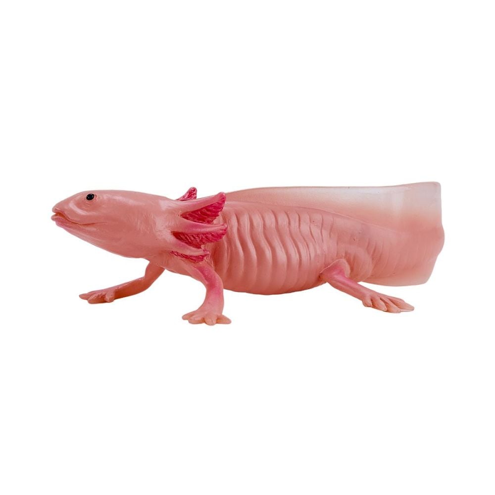 Figurina Mojo, Salamandra Axolotl