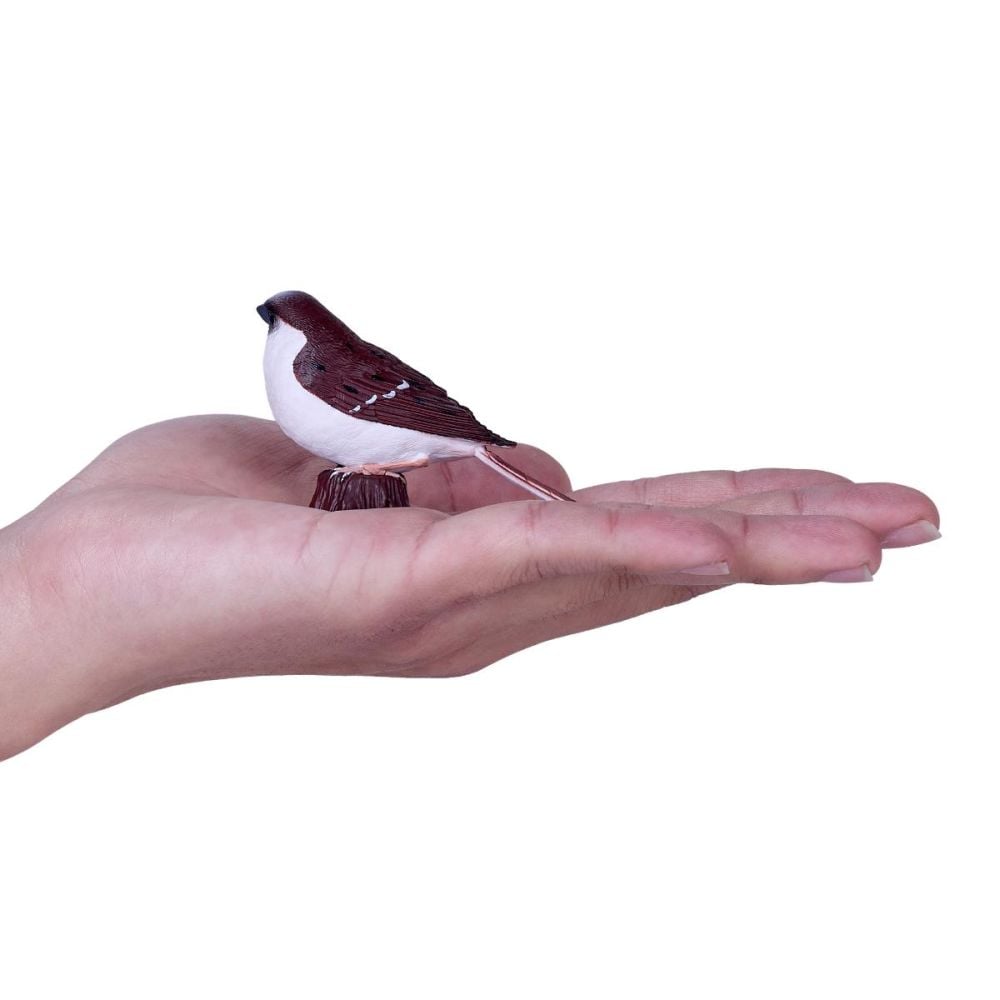 Figurina Mojo, Vrabie de casa