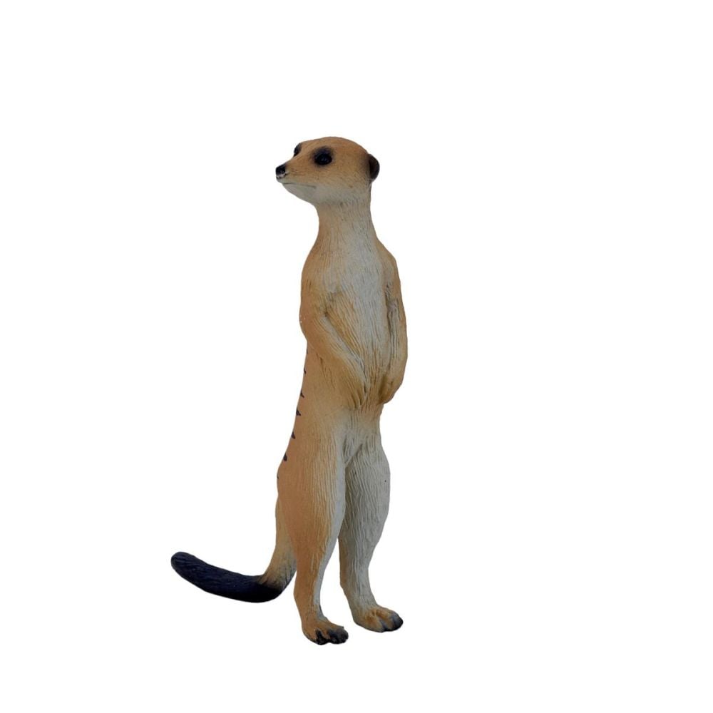 Figurina Mojo, Suricata