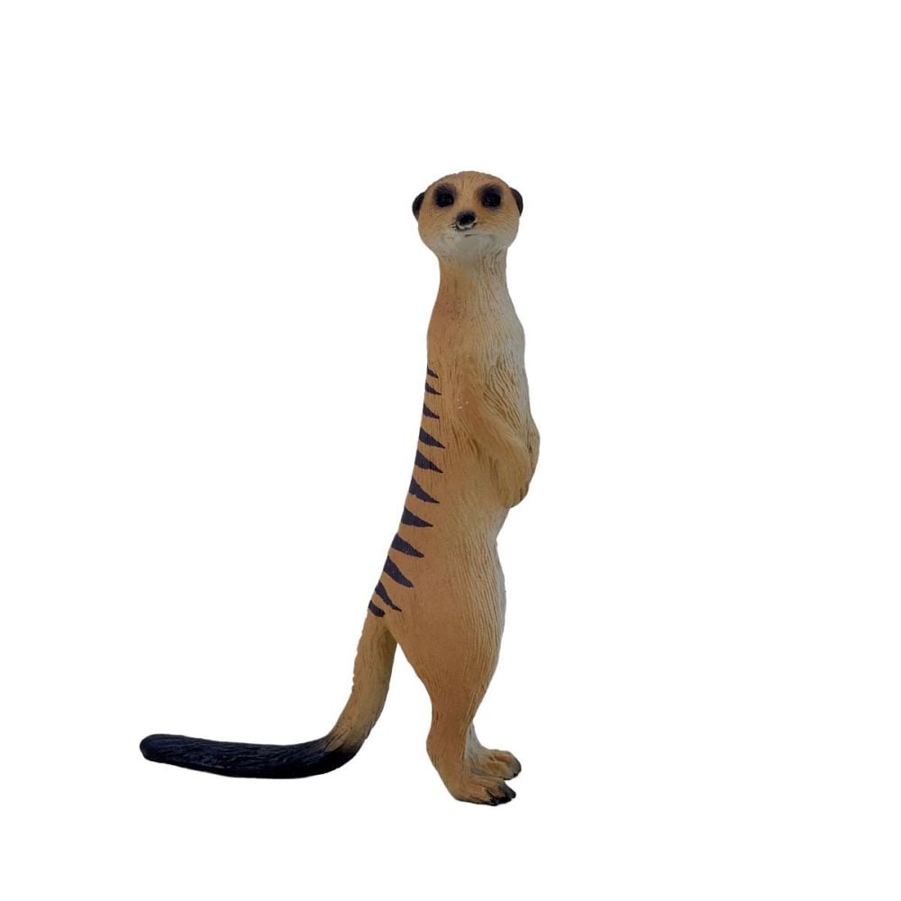 Figurina Mojo, Suricata