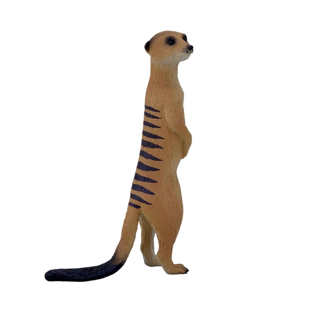 Figurina Mojo, Suricata