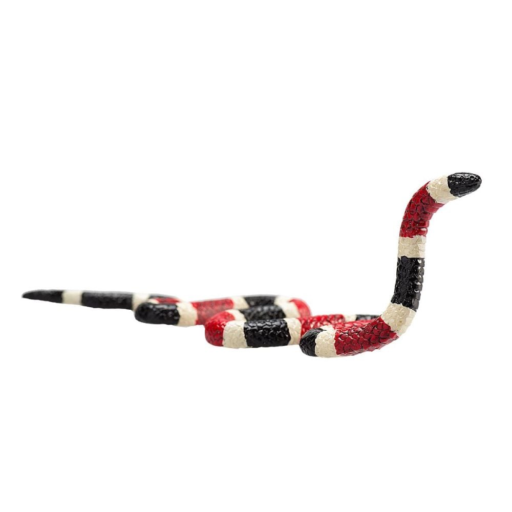 Figurina Mojo, Sarpe Coral