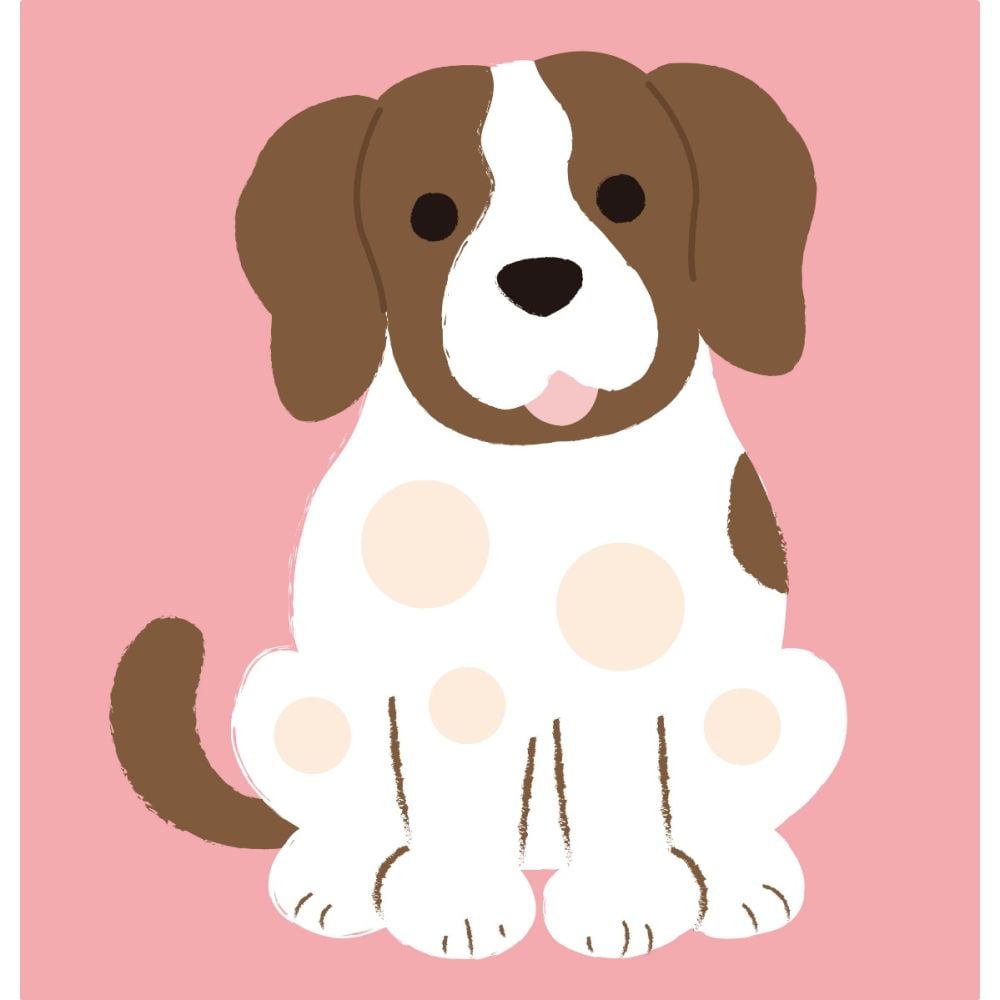 Set creativ dezlipeste, lipeste, joaca-te, Avenir, Dots4Fun, Animale de companie