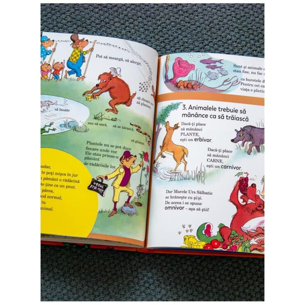 Ursuletii Berenstain uita de bunele maniere