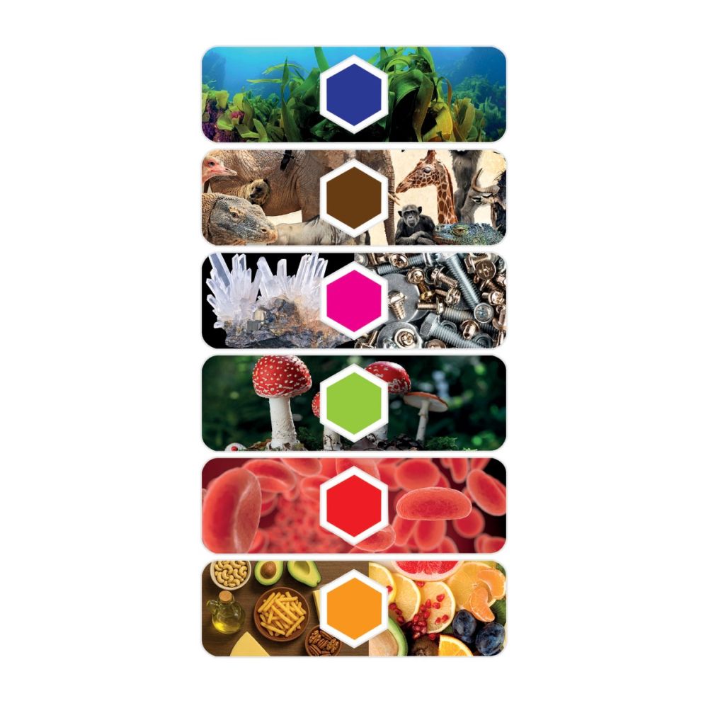 Microscop 2in1, Clementoni, Science & Play, Ai si camera Wi-Fi