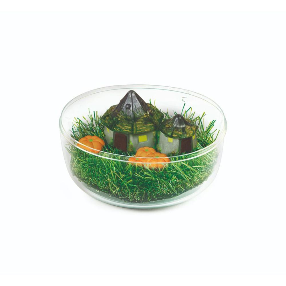 Set creativ, Clementoni, Terariu Harry Potter, Coliba lui Hagrid