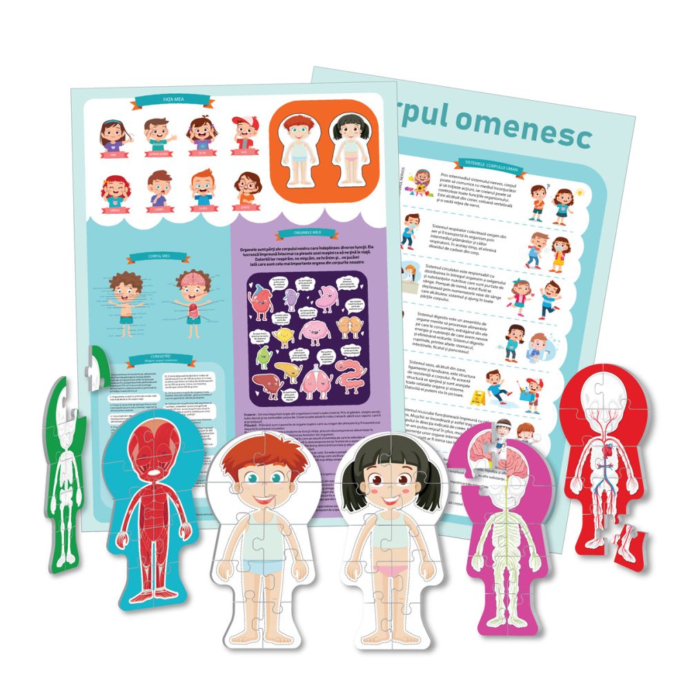 Puzzle educativ, Corpul omenesc, 60 piese