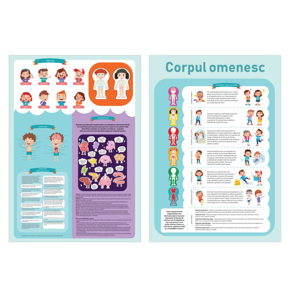 Puzzle educativ, Corpul omenesc, 60 piese