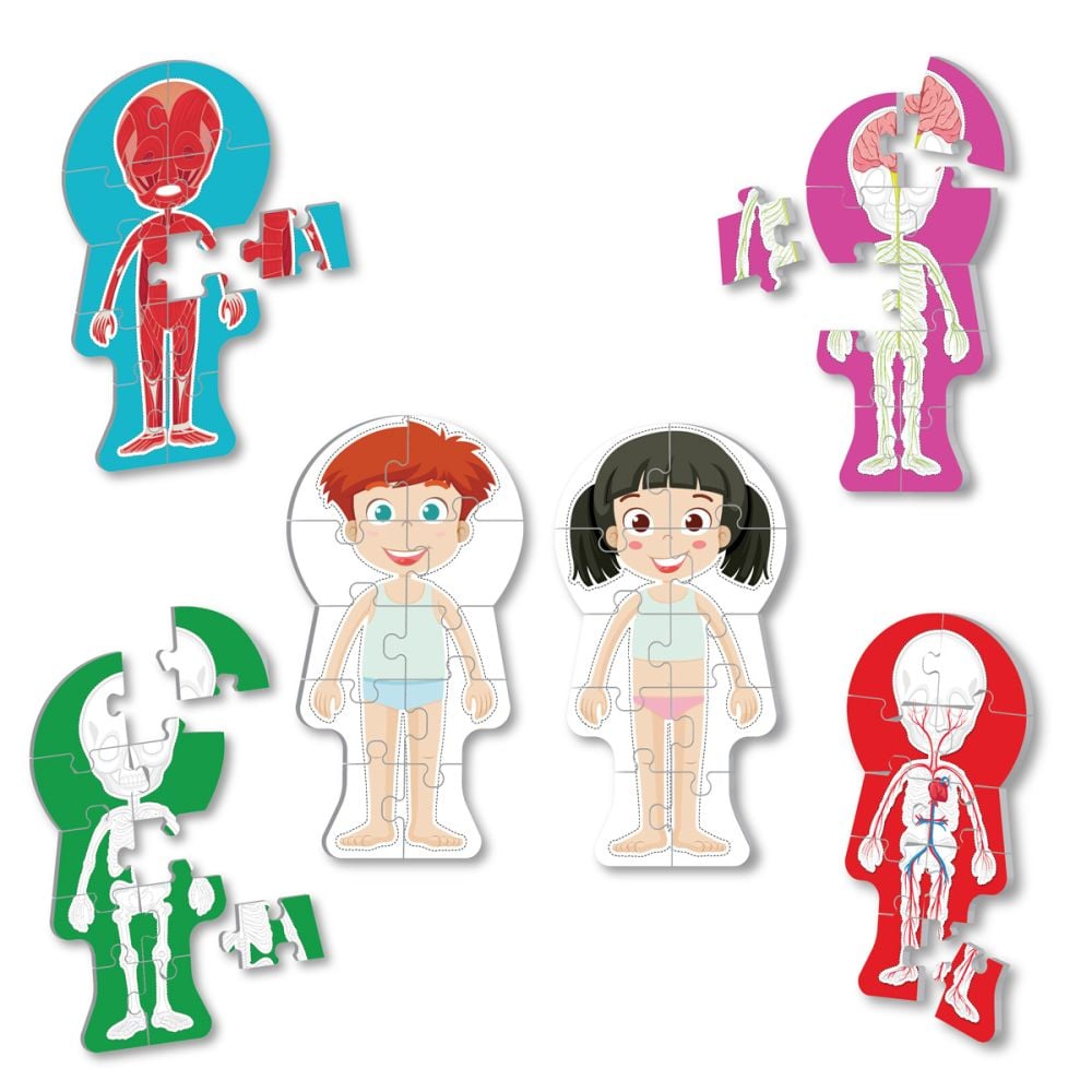 Puzzle educativ, Corpul omenesc, 60 piese