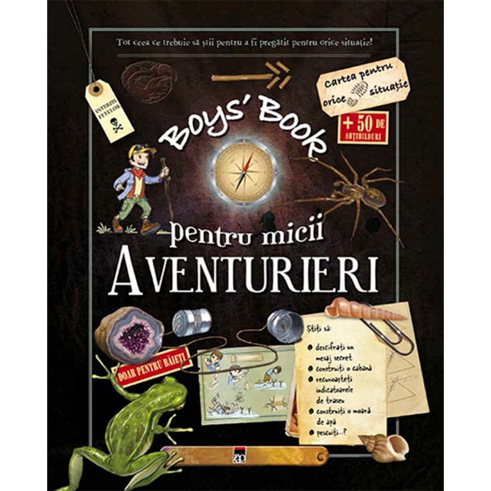 Boys' Book pentru micii aventurieri, Michele Lecreux