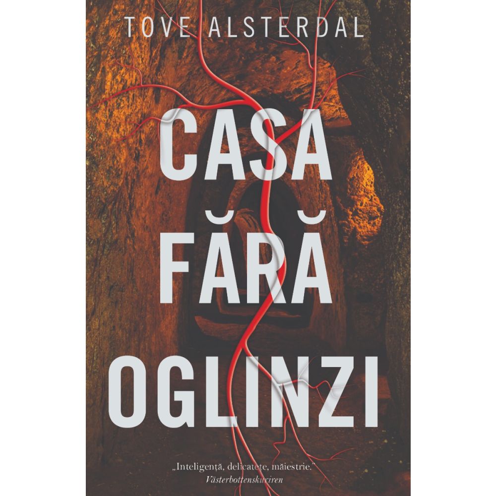 Casa fara oglinzi, Tove Alsterdal