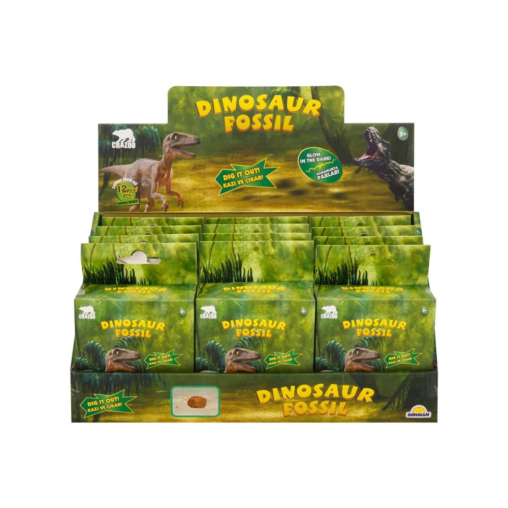 Kit excavare fosila de dinozaur, Crazoo