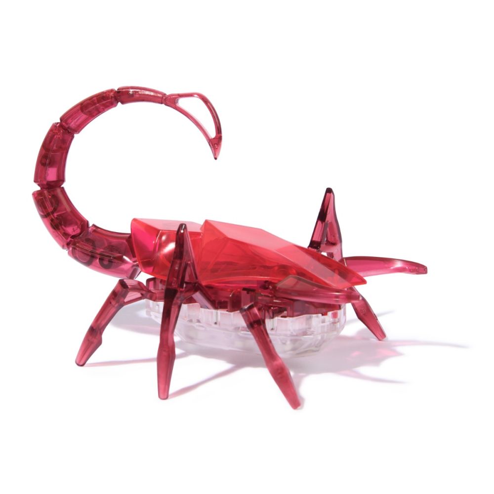 Scorpion interactiv, Hexbots, Rosu, 20149649 | Noriel