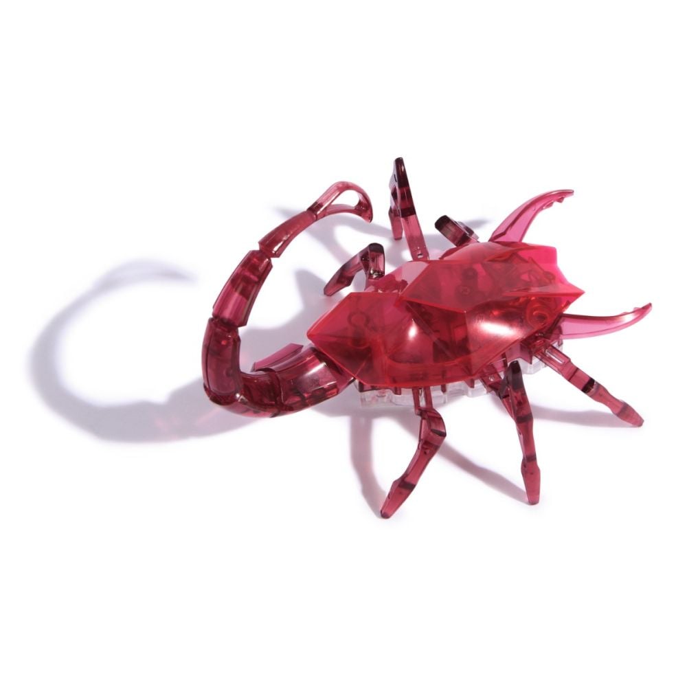 Scorpion interactiv, Hexbots, Rosu, 20149649 | Noriel