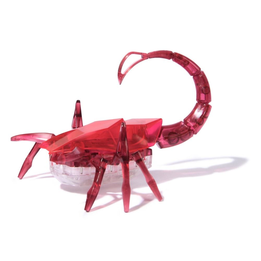 Scorpion interactiv, Hexbots, Rosu, 20149649 | Noriel