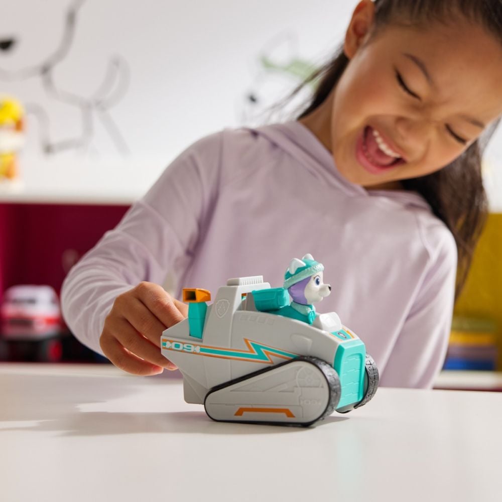 Vehicul cu figurina, Paw Patrol, Snow Plow, Everest, 6071217
