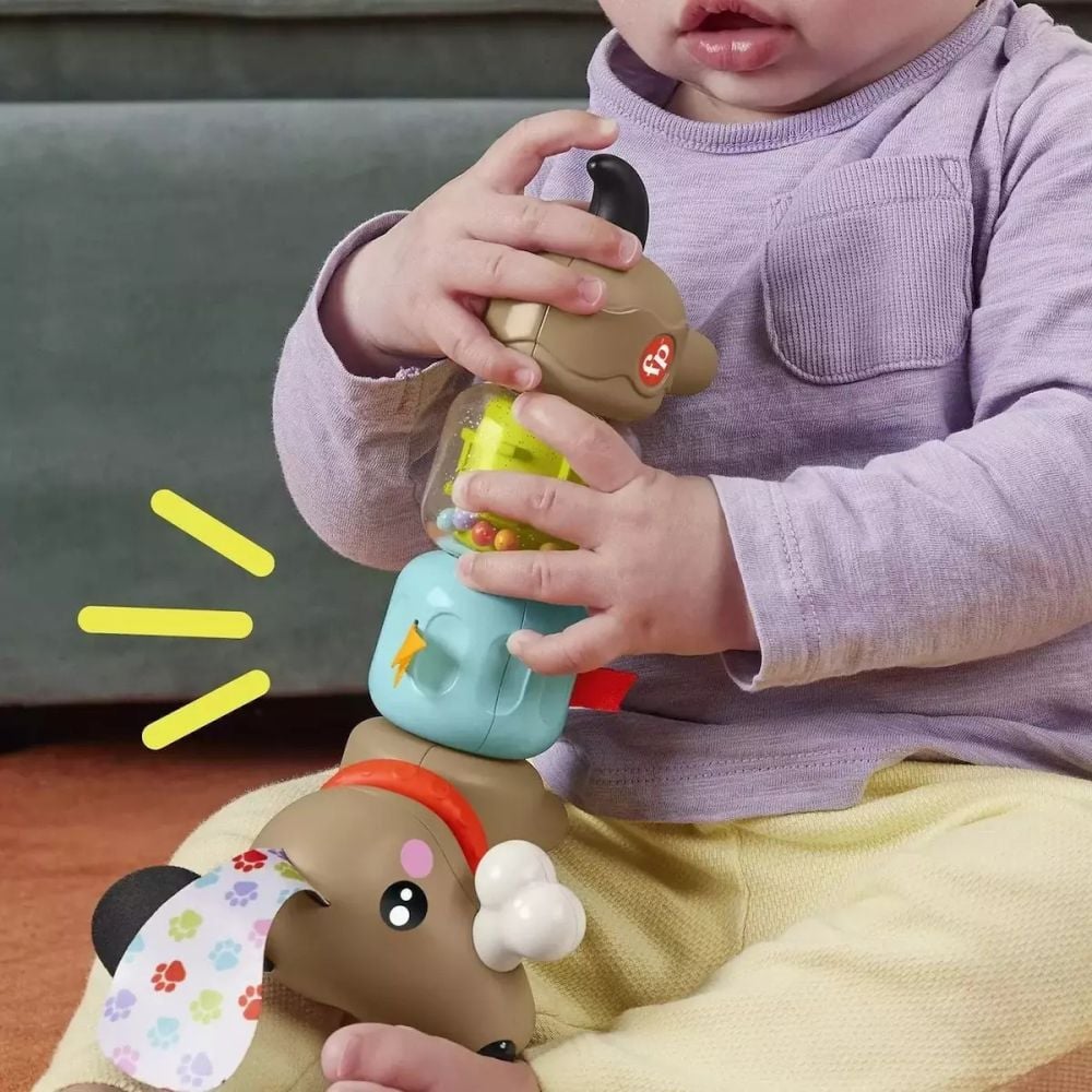 Catelus cu activitati senzoriale, Fisher Price, Click & Spin, HTW91