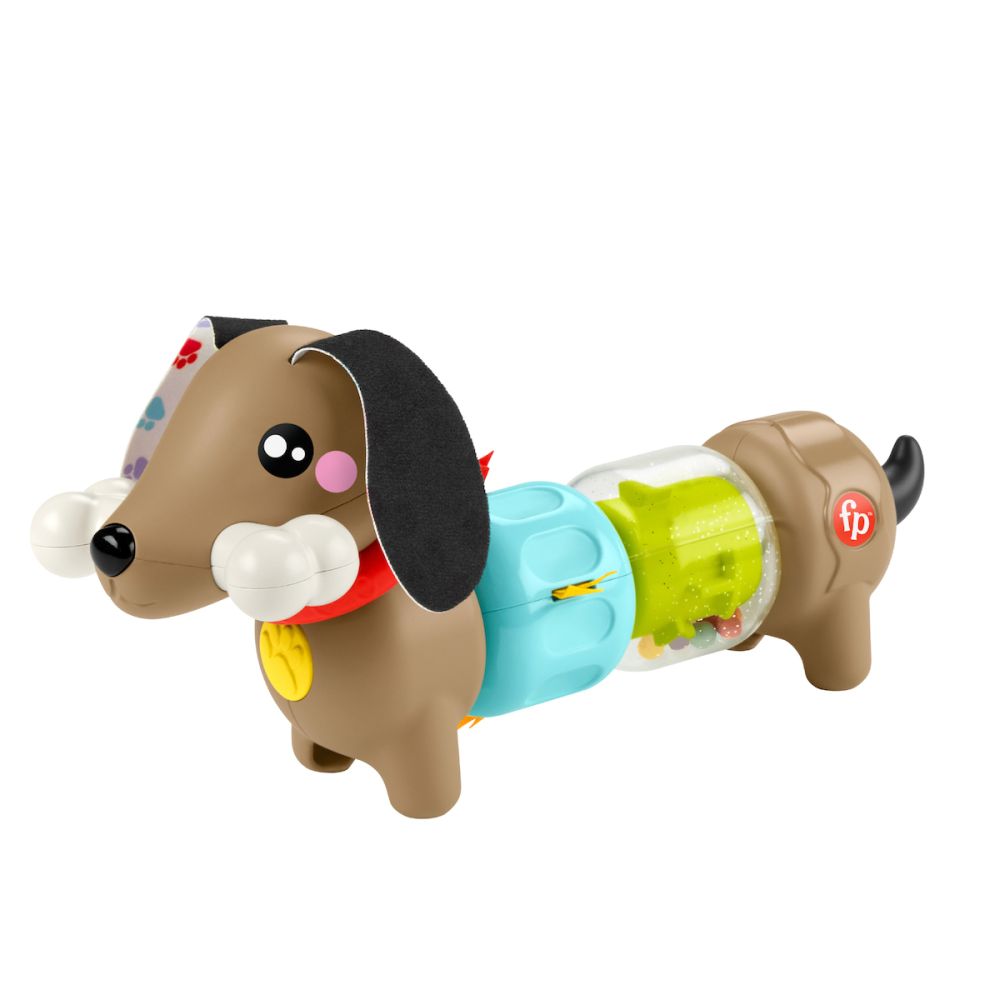 Catelus cu activitati senzoriale, Fisher Price, Click & Spin, HTW91